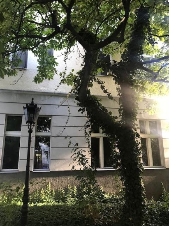 Wohnung Wilmersdorf Detmolder Str. 13 - Gartenhaus view. My apartment is 1st floor behind the lovely tree.
