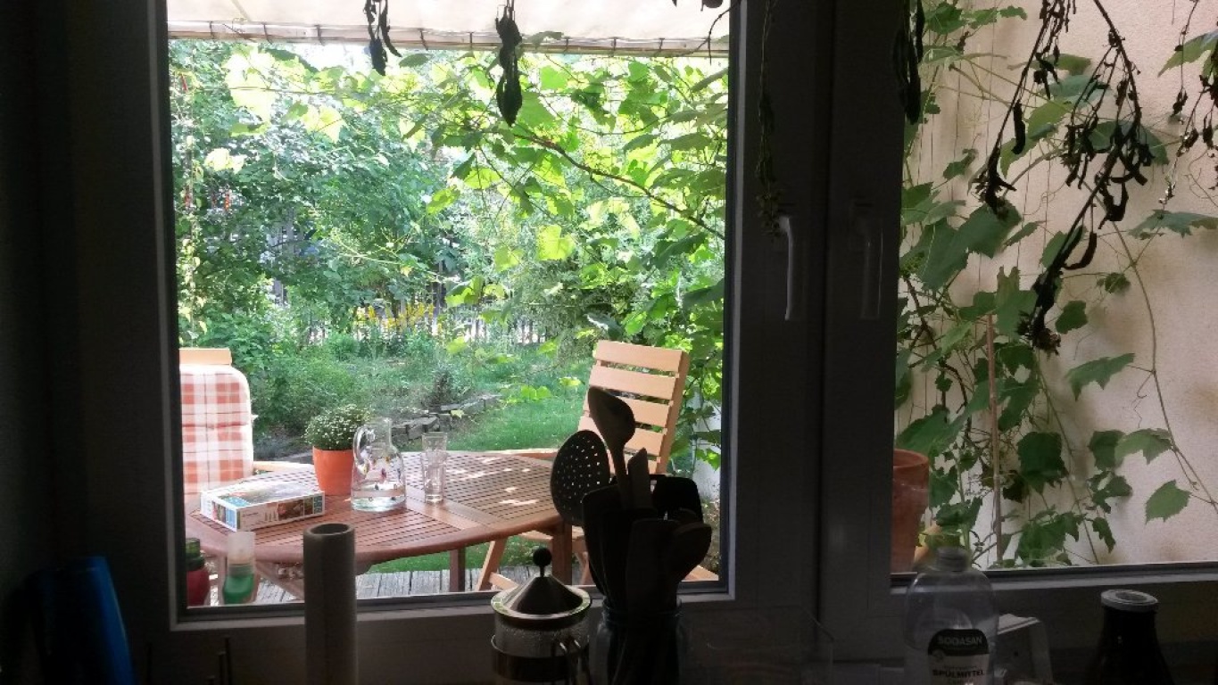 WG-Zimmer Vilich-Müldorf Adele-Schopenhauer-Weg 6 - Terrasse im Sommer