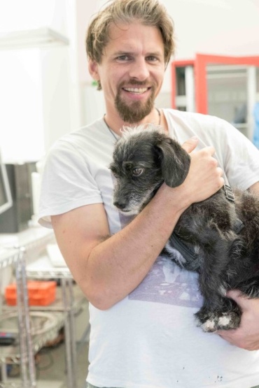Anzeigenbild: Amy und Jürgen suchen hundefreundliche WG zwecks Rudelbildung :)