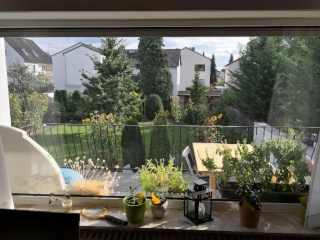 Imagen del anuncio: 1 ZW 42 qm EG m. Sonnenbalkon, Blick ins Grüne und EBK 350 € + UK in 64390 Erzhausen bei Darmstadt, private Vermietung