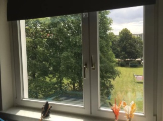 Anzeigenbild: vollmöbliert zur Zwischenmiete - ruhig - gute Anbindung- WLAN inkl.