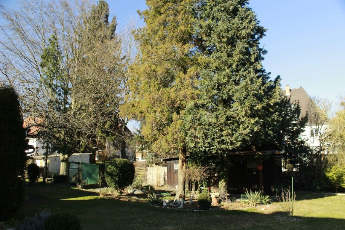 WG-Zimmer Innenstadt Reichswaldstr.7 - Bild 1