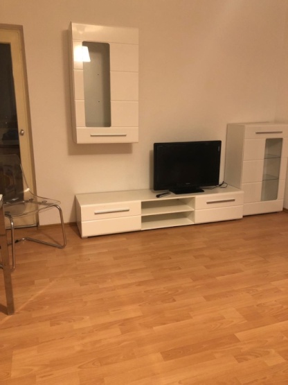 möblierte, modernisierte 1-Zimmer-Wohnung mit Balkon und EBK in Ulm - 1