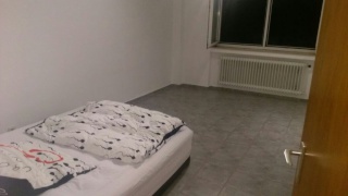 Anzeigenbild: Einzimmer Wohnung mit großer Küche
