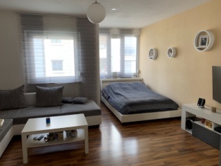 Anzeigenbild: Schöne, voll möblierte 1-Zimmer-Wohnung zu vermieten, nahezu unbenutzte neue Möbel, 30qm, eigenes Bad mit Dusche, Kochnische