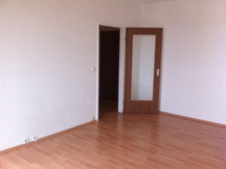 Anzeigenbild: Helle gepflegte 1-Zimmerwohnung in Fürth-Prater