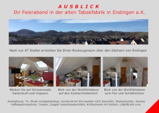 Anzeigenbild: Außergewöhnliche 2 Zimmer Wohnung über den Dächern von Endingen, 22 KM nördlich von Freiburg Vermietung von 1 bis mehrere Monate für Pendler und als Zwischenlösung bis zur Traumwohnung, keine Dauervermietung, nur für 1 Person / only one person