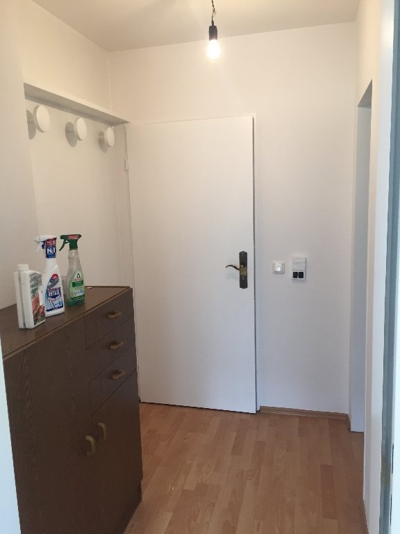 1-Zimmer-Wohnung Trudering Irmelastraße - Eingangsbereich mit Blick auf Eingangstür