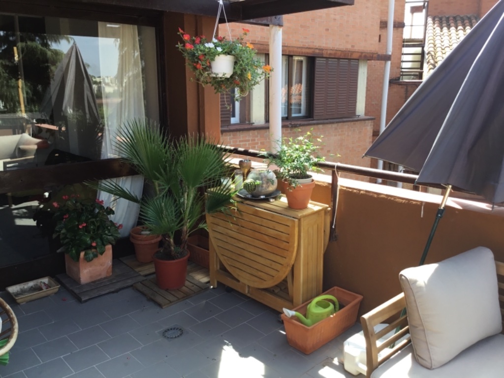 Habitación en WG Madrid Borja 13 - Terrace springtime