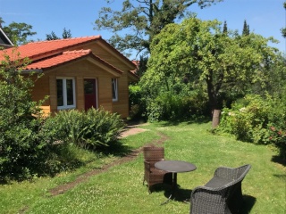 Anzeigenbild: Neues Apartmenthaus zu vermieten (40qm/ 2 Zimmer) ab 01.02.2026