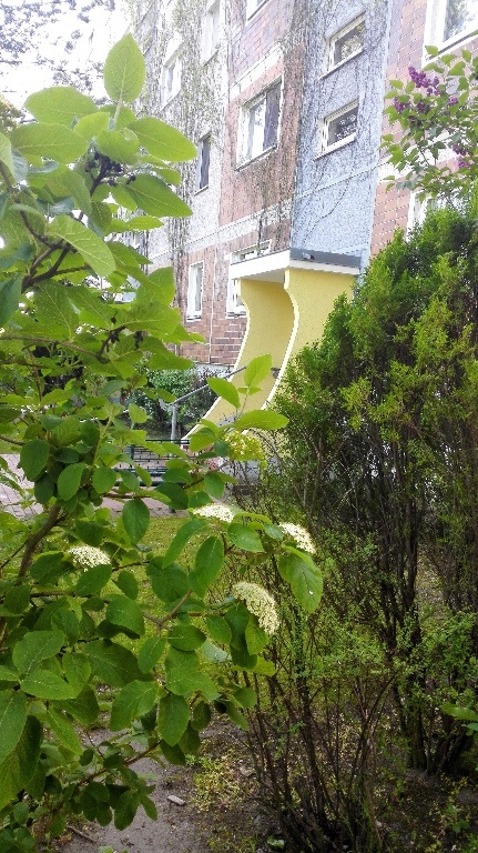 Attraktive, charmante 1,5 Zimmer-Wohnung in Berlin-Hellersdorf – Gohliser Straße 30, 12627 Berlin Hellersdorf – Vorschaubild 2