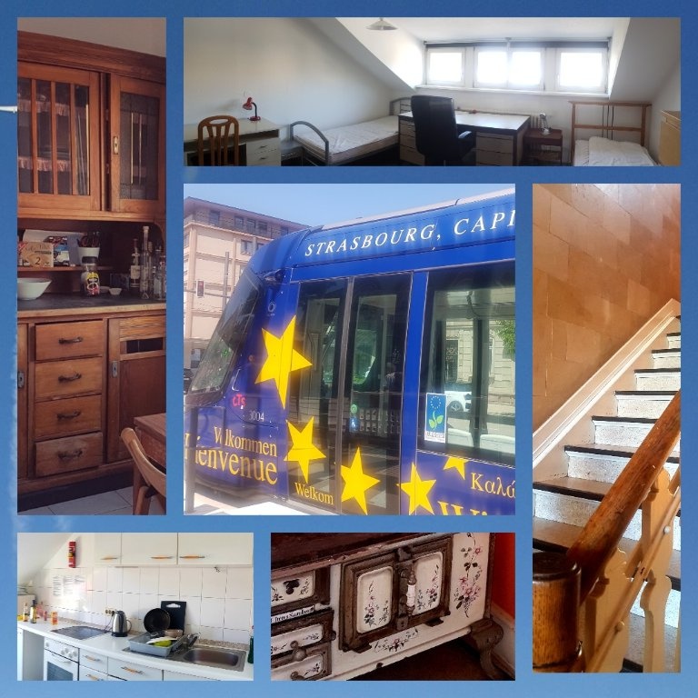WG-Zimmer City Großherzog-Friedrich-Str.20 - Bild 1