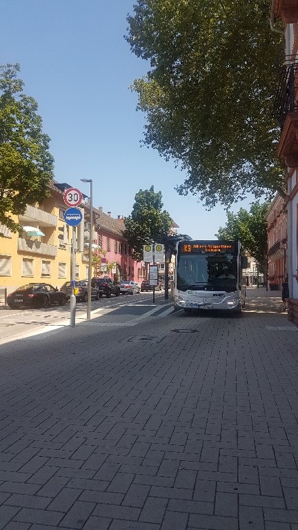 WG-Zimmer City Großherzog-Friedrich-Str.20 - Bushaltestelle 30m