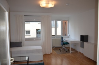 Anzeigenbild: neu möblierte 1-Zi-Whg mit TG-Stellplatz