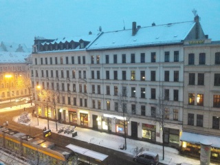 Superlage, tolle Wohnung, noch besserer Mitbewohner