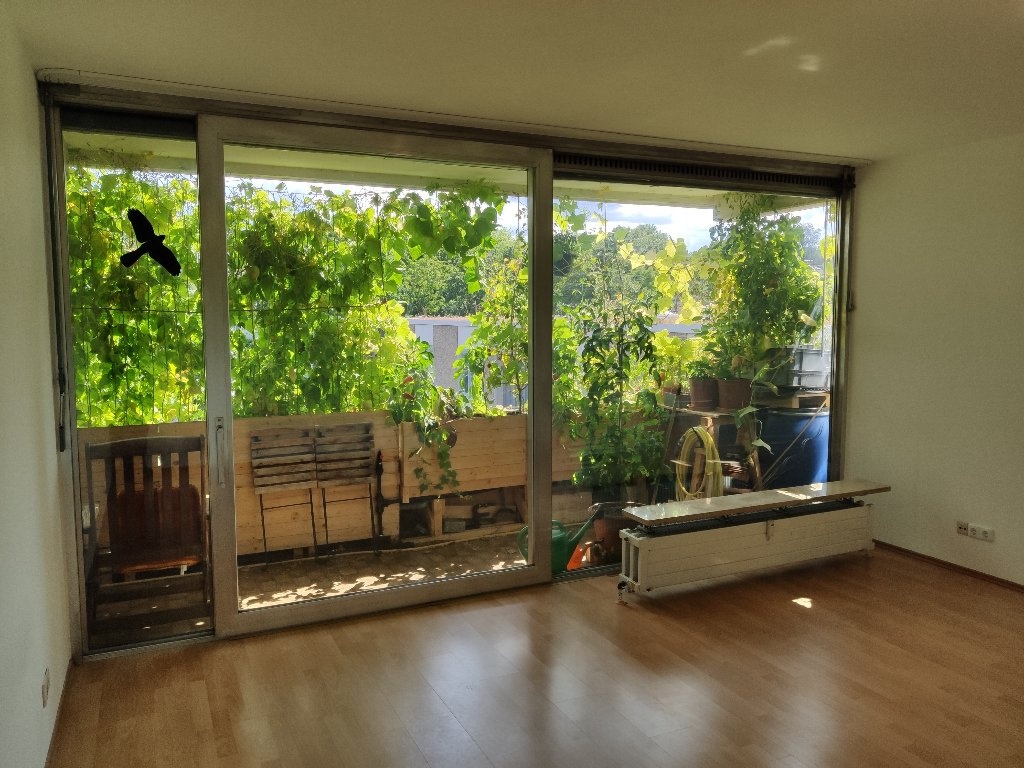 Habitación en WG Mombach Am Lemmchen  a - Zimmer mit Blick nach draußen