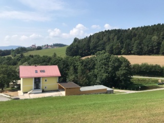 Anzeigenbild: Wohnen mit Erholung & Pferd in der Steiermark
