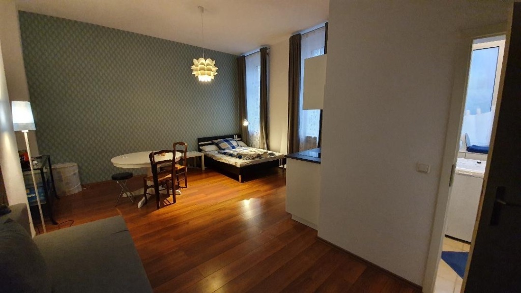 1-Zimmer-Wohnung Innenstadt Braubachstrasse 24 - Blick vom Eingang in den Raum hinein