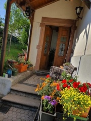 Anzeigenbild: Zimmer frei in Haus-WG mit Garten :)