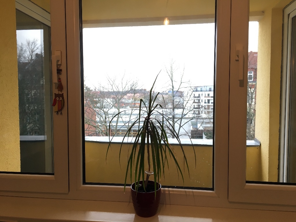 Apartamento Reinickendorf Letteallee - Aussicht Küche und Balkon