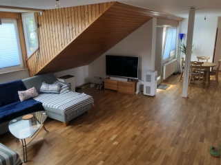 Anzeigenbild: 20qm Zimmer in Dachgeschosswohnung mit südlicher Dachterrasse ab sofort zu vermieten
