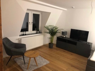 Anzeigenbild: Exklusive & voll möblierte 1-Zi-Wohnung in der Fürther Innenstadt! - Bad mit Fenster