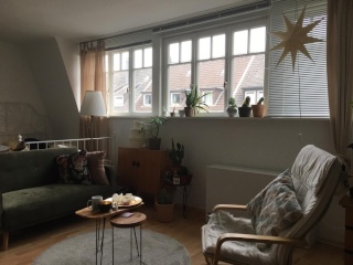 Anzeigenbild: helle 1 Zimmerwohnung in Holsterhausen, Nahe Uniklinik