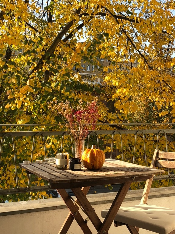 1 Room Flat Kreuzberg Marheinekeplatz - Balkon im Herbst