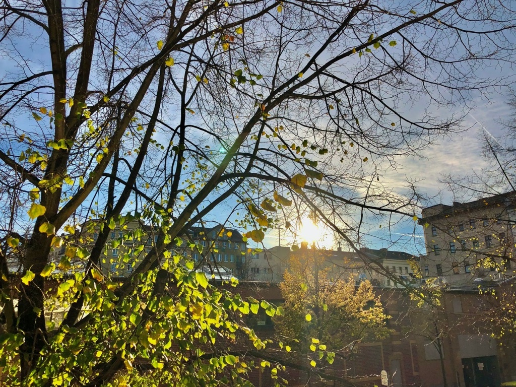 1 Room Flat Kreuzberg Marheinekeplatz - Aussicht