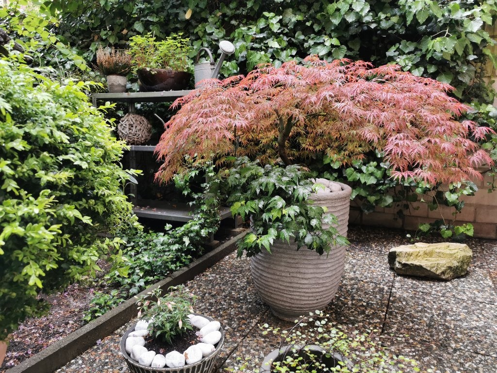 WG-Zimmer Gutleutviertel Esslinger Str. 11 - Innenhofbereich