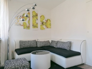 Anzeigenbild: Möblierte 3-Zi.-Wohnung mit 2 SZ am Opernhaus