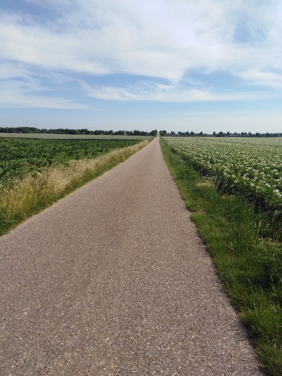 WG-Zimmer Jülich Mersch Alte Reichsstraße 28 - asphaltierter Fahrradweg zur FH und zum Stadtzentrum