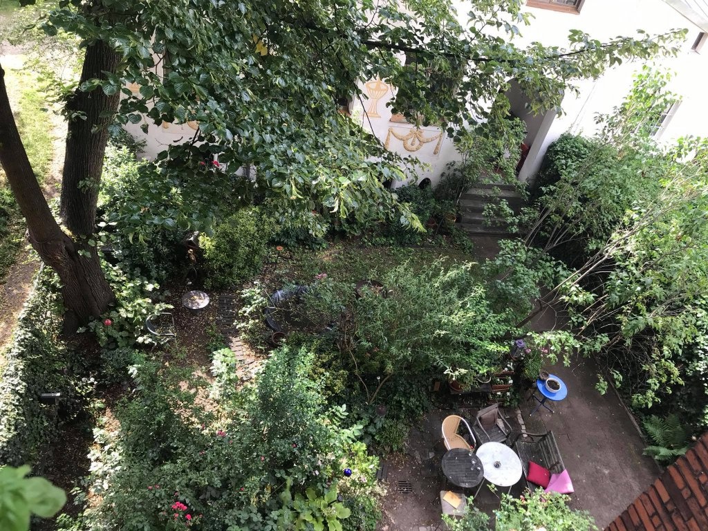 Flat Gostenhof Saldorferstrasse 6 - Blick von der Küche in den Garten