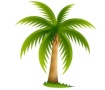 Die Palme