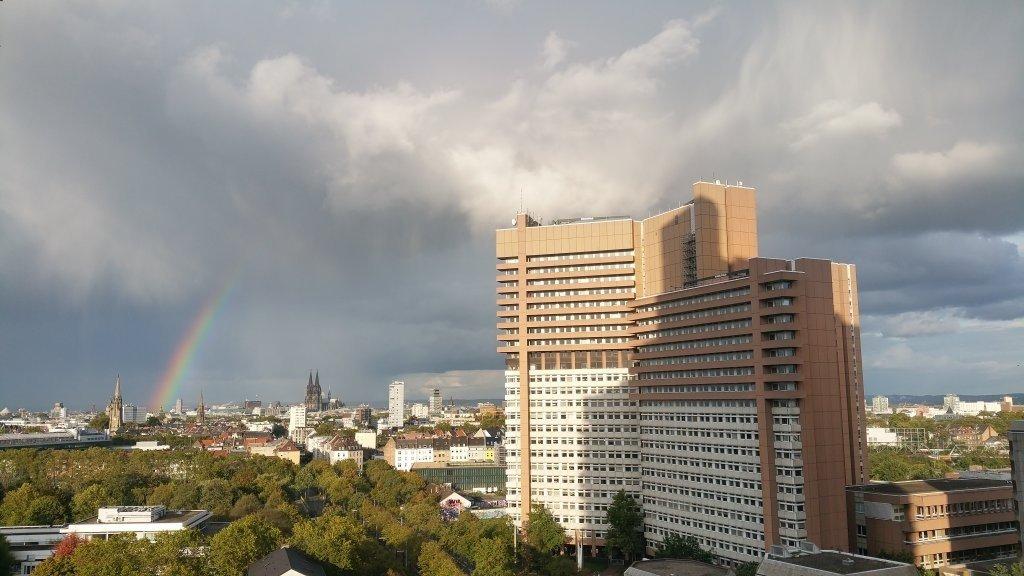 WG-Zimmer Sülz Luxemburger Str. 124 - Dom unter dem Regenbogen