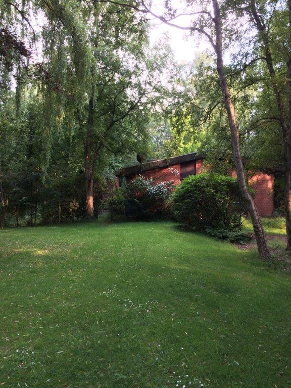 Ruhige Einliegerwohnung im Grünen