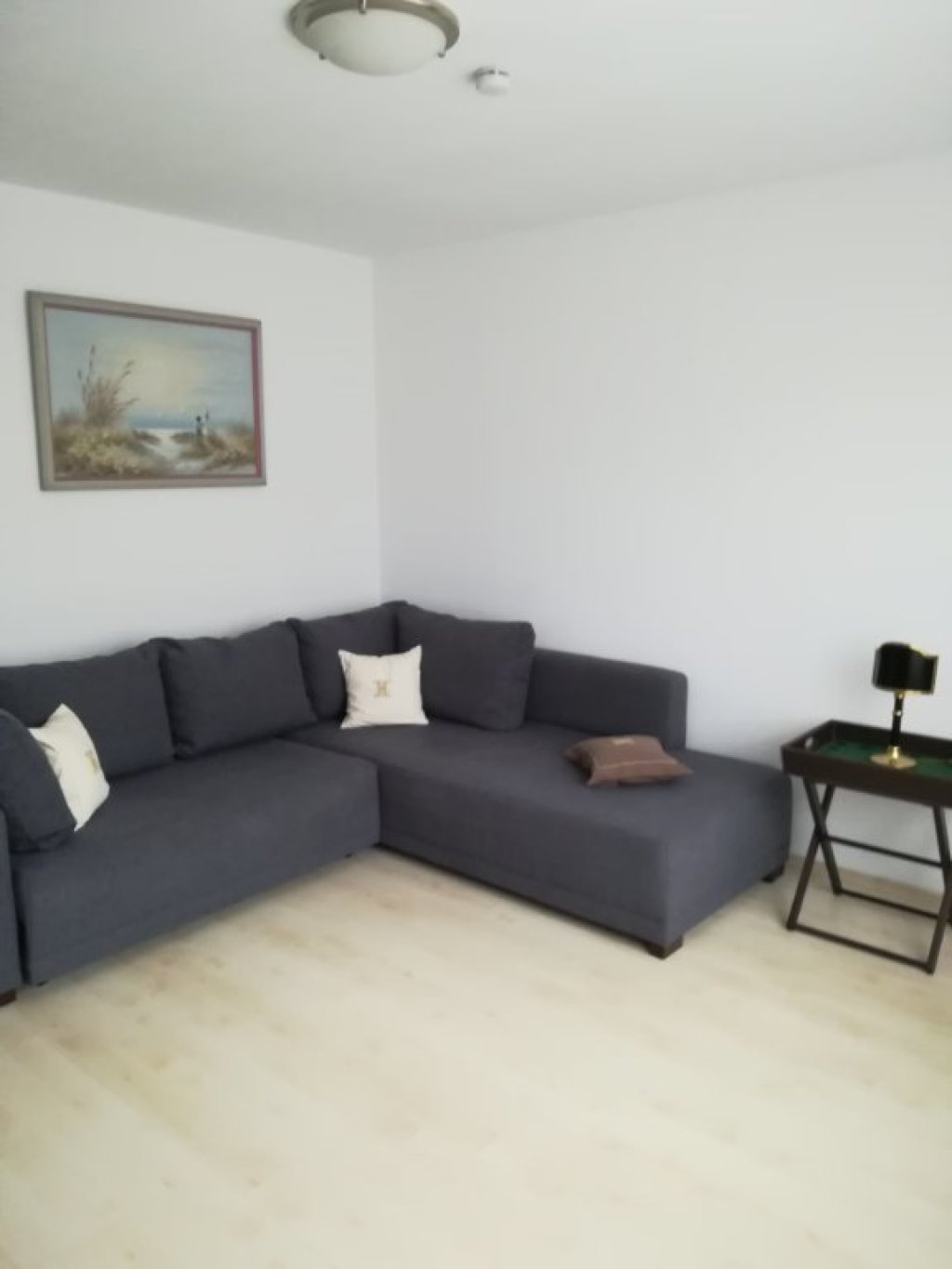 WG-Zimmer Borgfelde Bürgerweide - Bett-Sofa-Grau