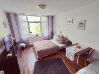 Imagen del anuncio: Neuwertiges und komplett möbliertes Apartment mit EBK Nähe Mainz und ZDF
