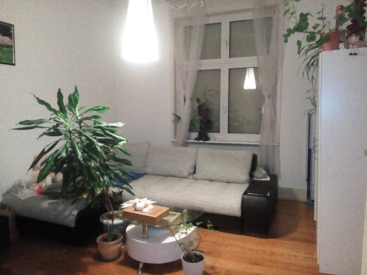 Schöne 2 Zimmerwohnung in Frankfurt Höchst Wohnung in Frankfurt am