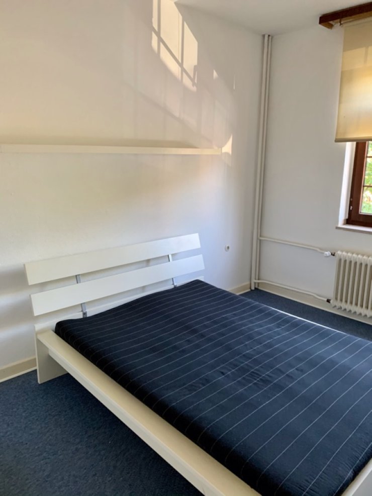 Helles WG-Zimmer in 4er Haus - Zimmer in Münster-Berg Fidel