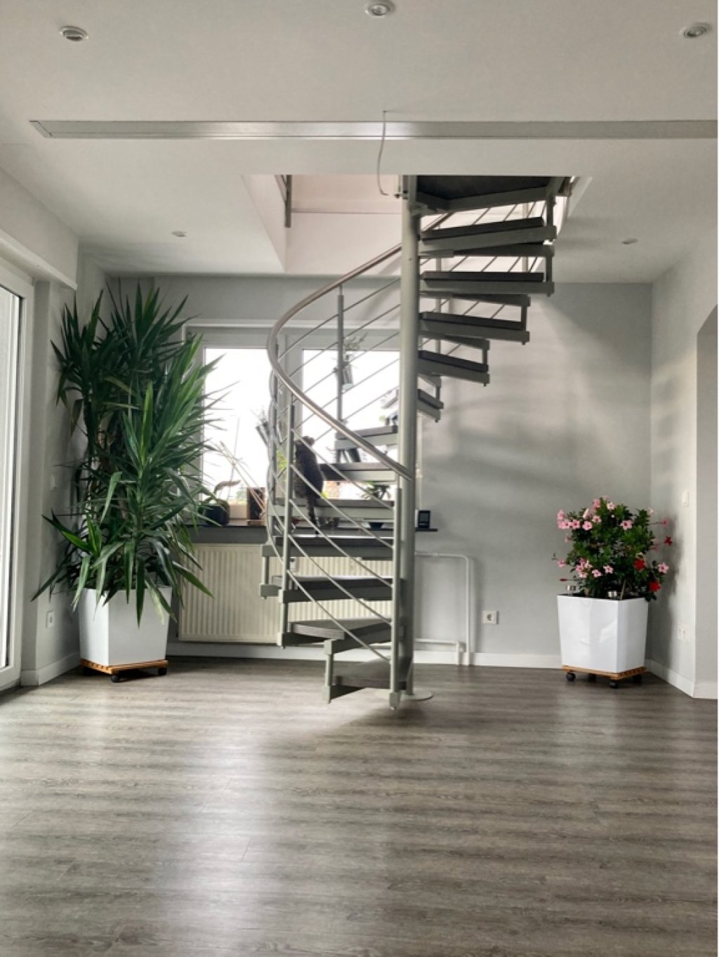 WG-Zimmer Ketsch Enderlestraße 41 - Bild 6
