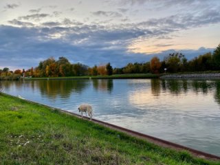 Ad image: 2 Zimmerwohnung  in Wolfsburg/Vorsfelde zentral gelegen