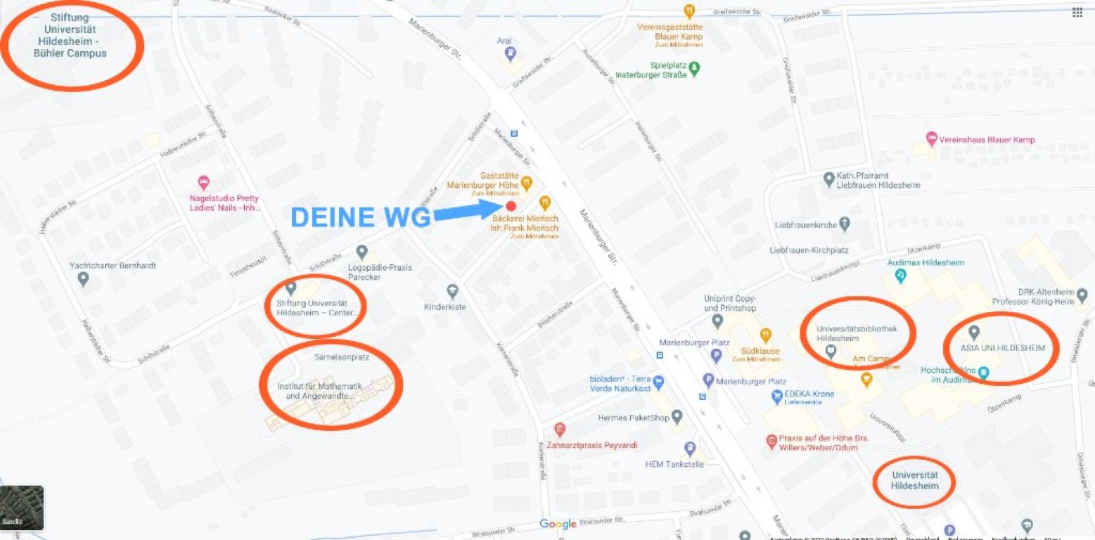 Gemütliche Frauen WG sucht Mitbewohnerin in Hildesheim Nähe Uni – Scharnhorststr. 49, 31141 Hildesheim Marienburger Höhe – Vorschaubild 15