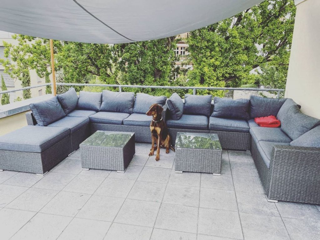 WG-Zimmer Frauenland Greisingstraße 17 - Terrasse