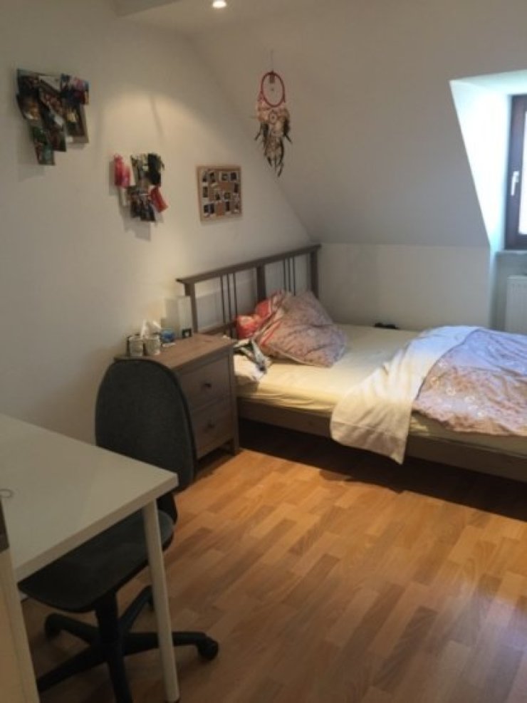 Schöne, helle Wohnung mit neuem Badezimmer - Wohnung in Trier-Trier