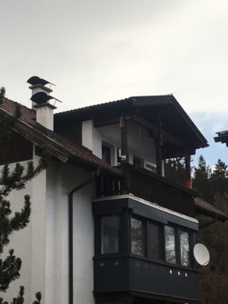 Imagen del anuncio: Hallo zusammen,  ab sofort eine Wohnung, in Natters, 