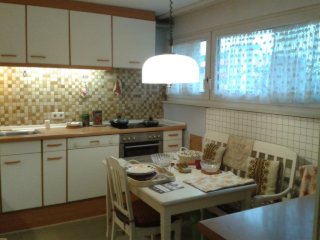 Imagen del anuncio: Ruhige WG in der "Villa am Wald" mit Garten, Terasse und Katzen.