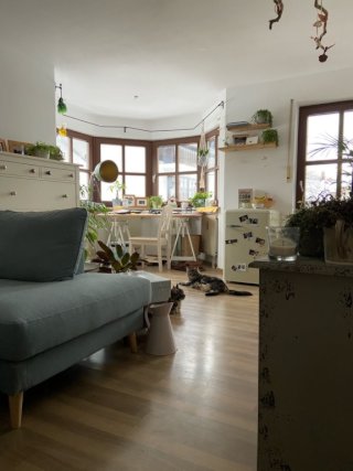 Ad image: 2 Zimmerwohnung in Mitterfeld
