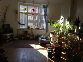 Anzeigenbild: 27 qm Altbauzimmer in WG-Haus mit Gartenoase und Terrasse