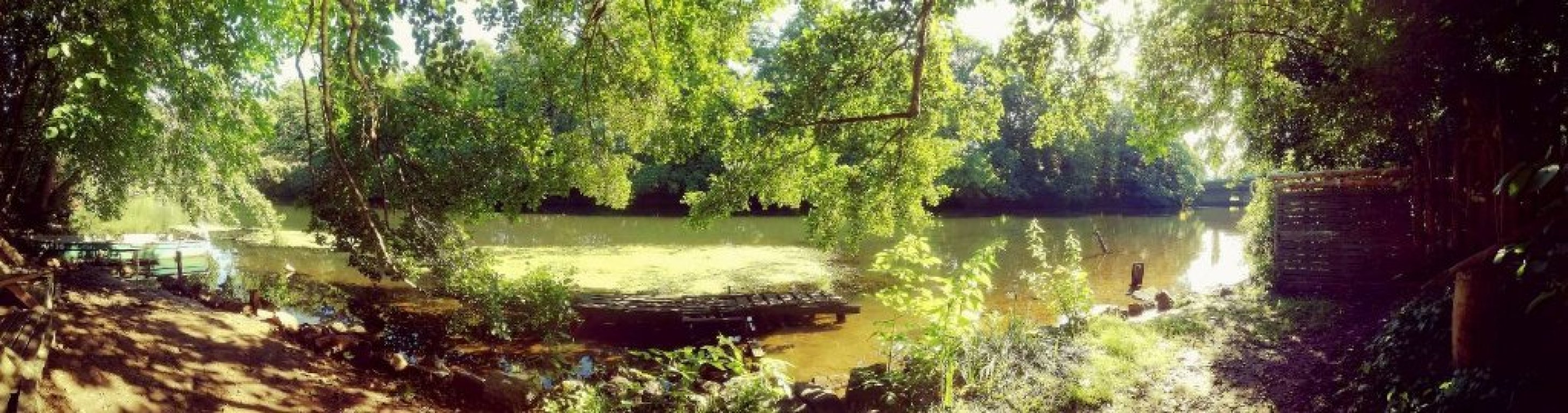 Habitación en WG Spremberger Vorstadt Parzellenstraße 79 - 250 Meter zu Fuß - Sommer in CB